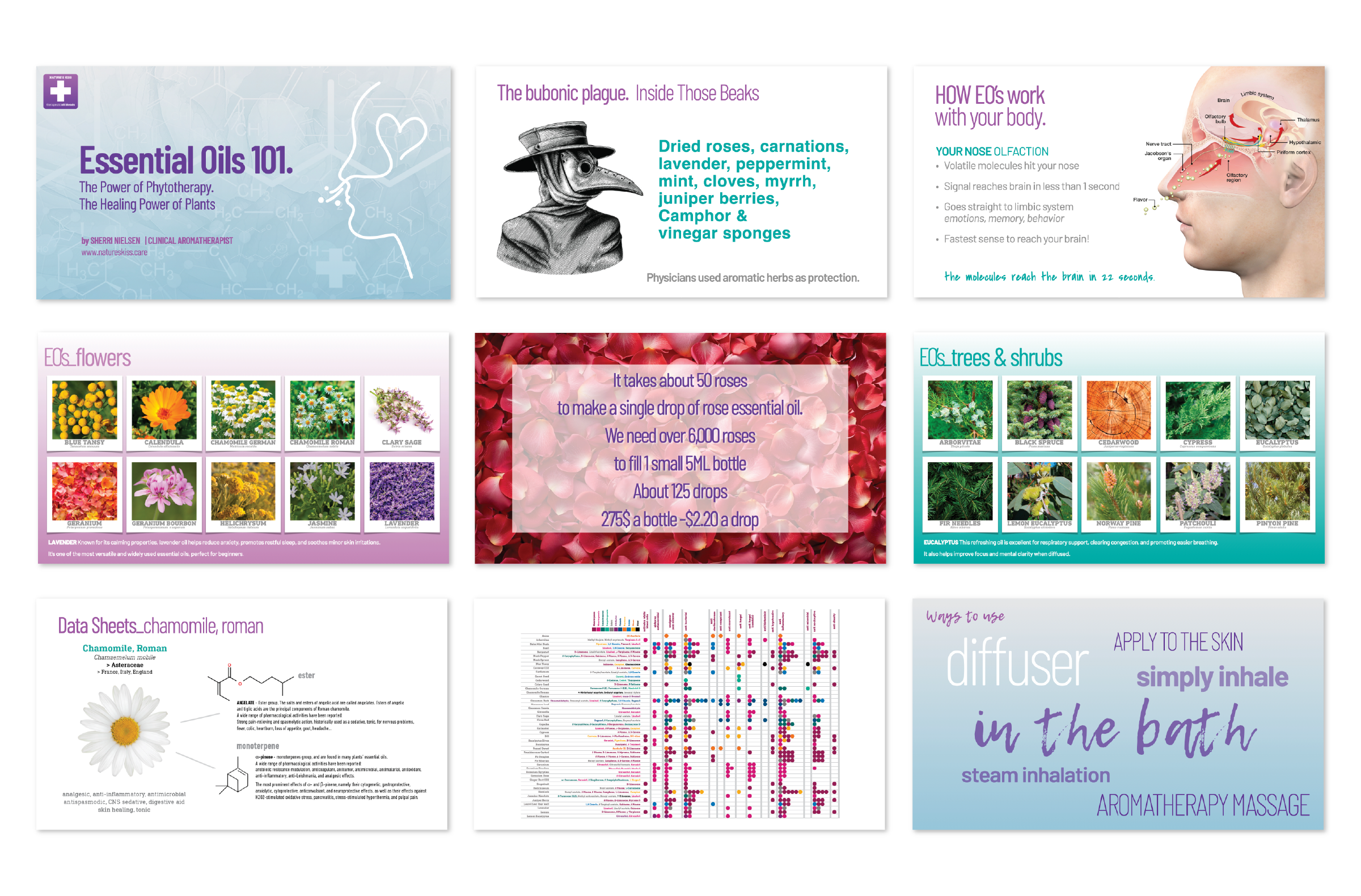 The roadshow — Essential Oils 101 deck