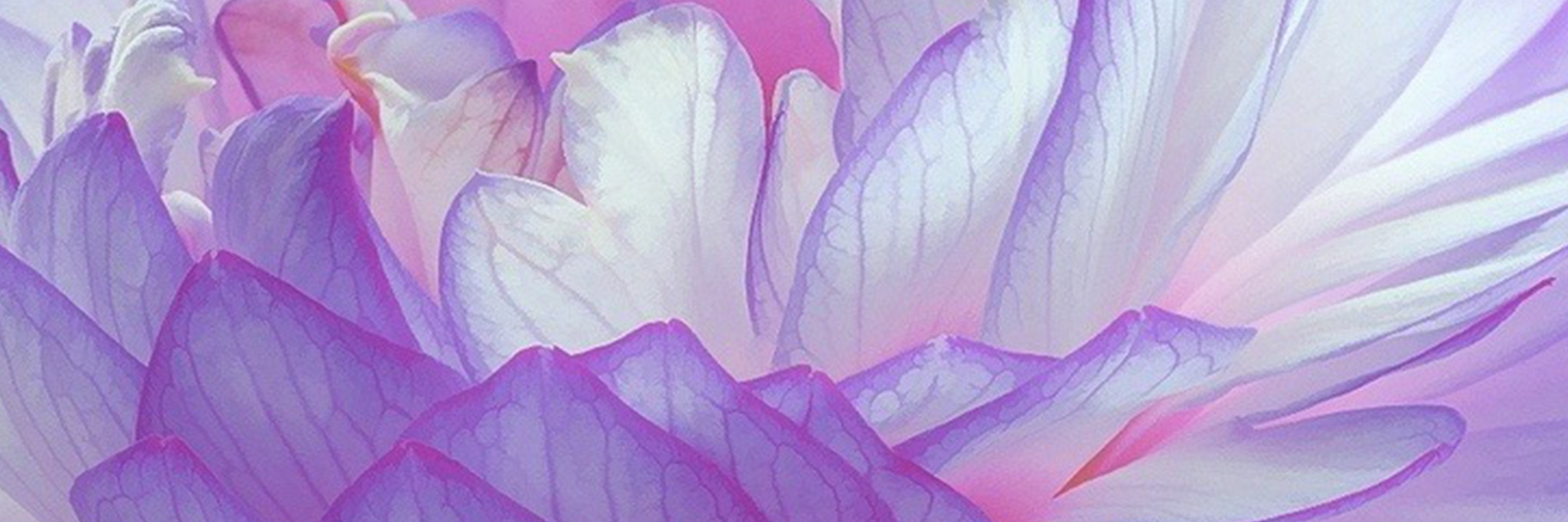 Light — purple and white petals