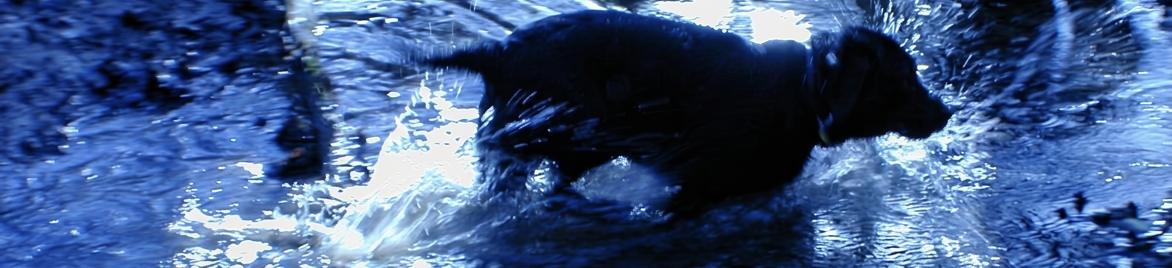Motion